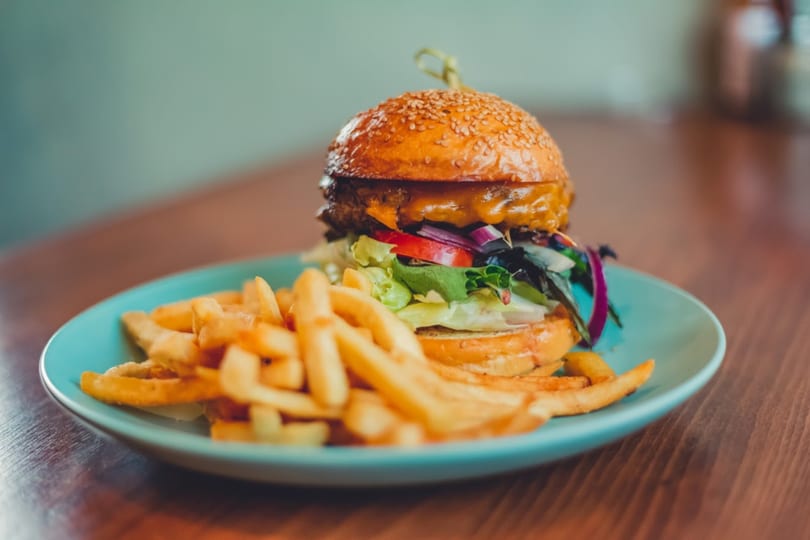 A juicy burger with melted cheese, lettuce, tomato, and red onion, served with golden fries on a blue plate.