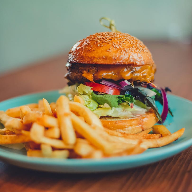 Cheeseburger with lettuce, tomato, and red onion, served with a side of golden french fries.